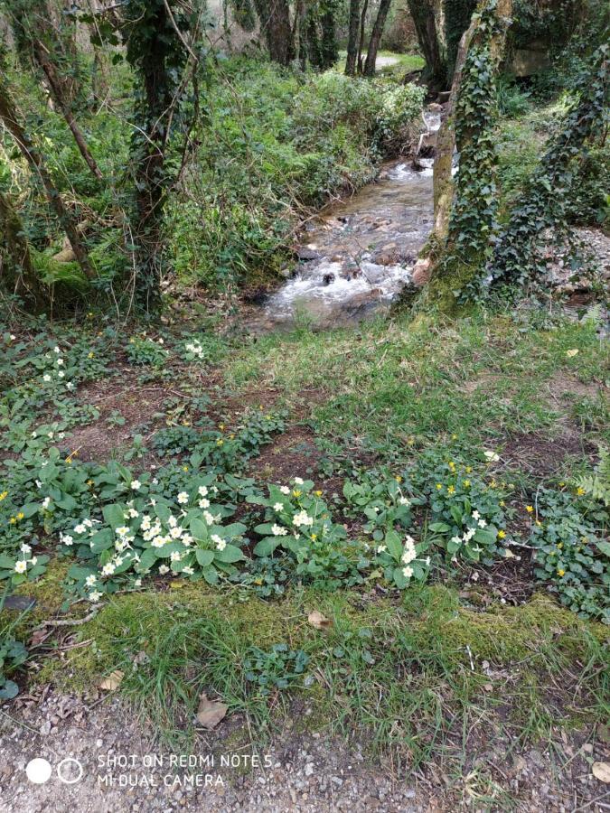 Costa Da Morte "Paraiso De Galicia" Ponteceso Zewnętrze zdjęcie